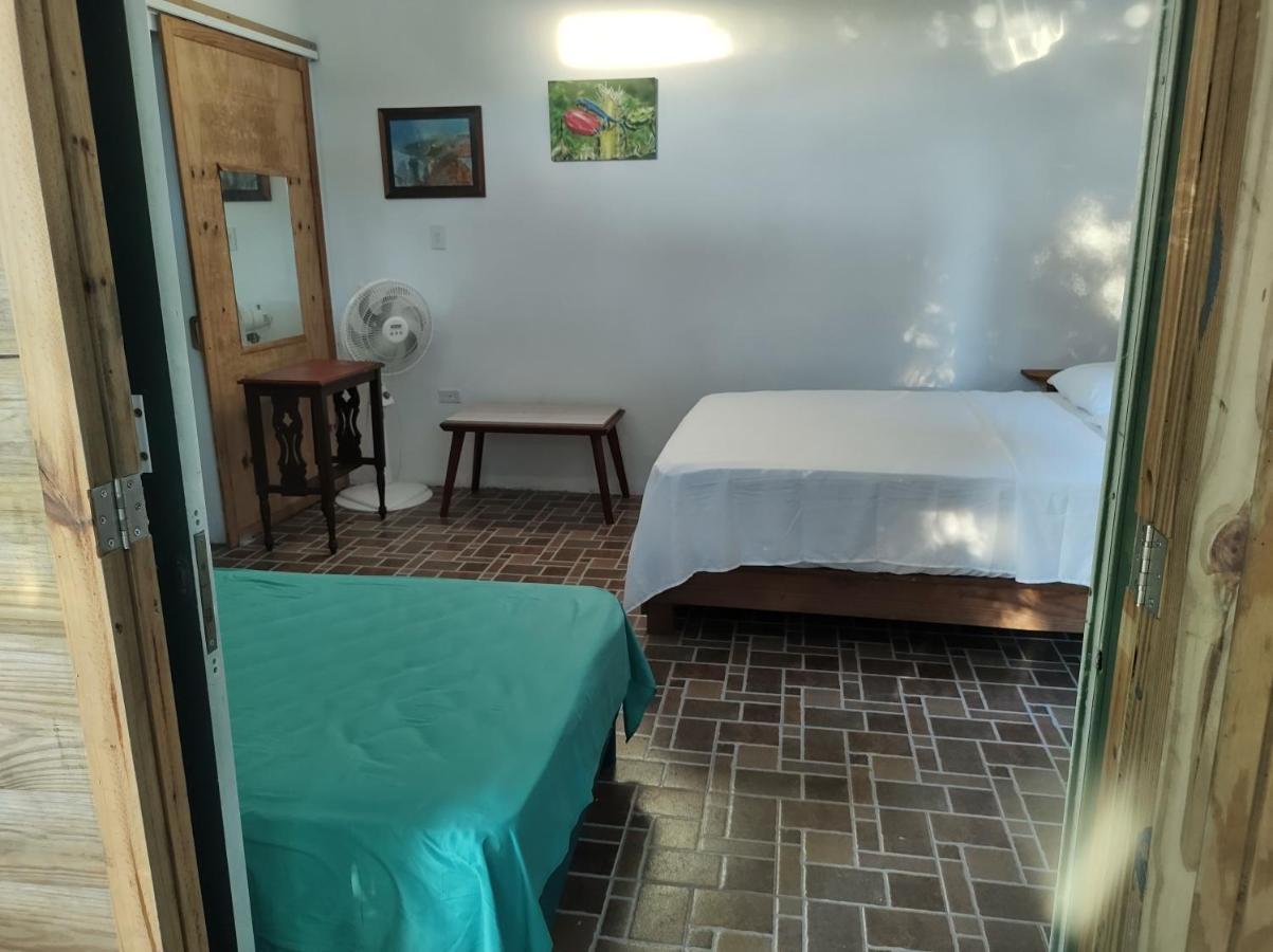 Apartment Frente Al Mar Aparto Blue Lizard